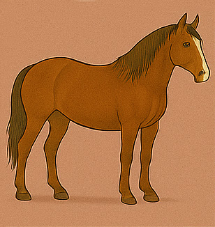 Tennessee Walking Horse