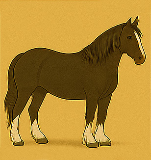 Arabian