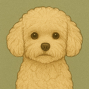 Bichon frise